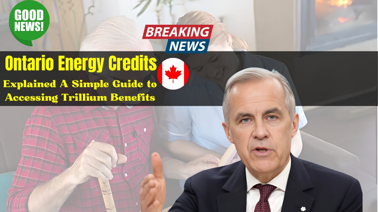 Ontario Energy Credits